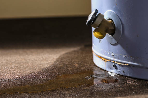 Best Water damage restoration company  in Grabill, IN