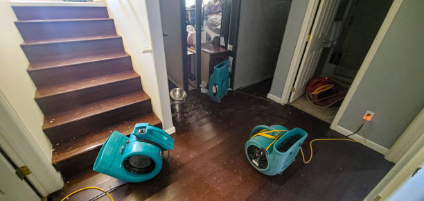 Best Fire Damage Restoration  in Grabill, IN
