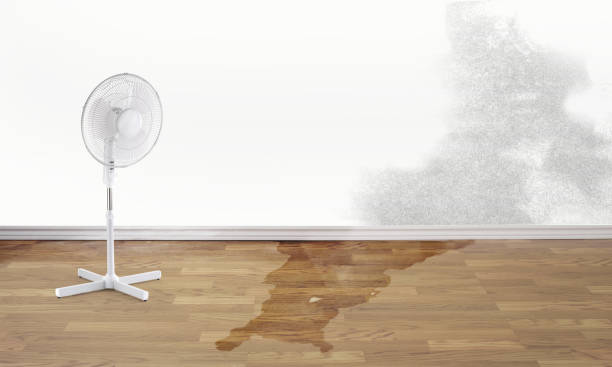 Best Emergency water damage restoration  in Grabill, IN