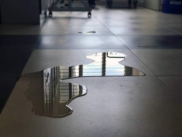 Best Water damage restoration near me  in Grabill, IN