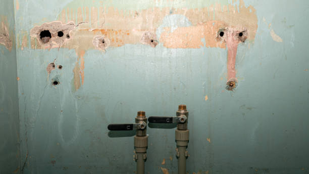 Best Sewage cleanup and water damage restoration  in Grabill, IN