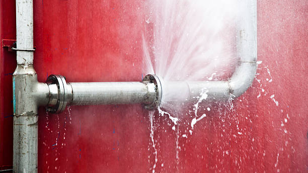 Best 24-hour water damage restoration  in Grabill, IN